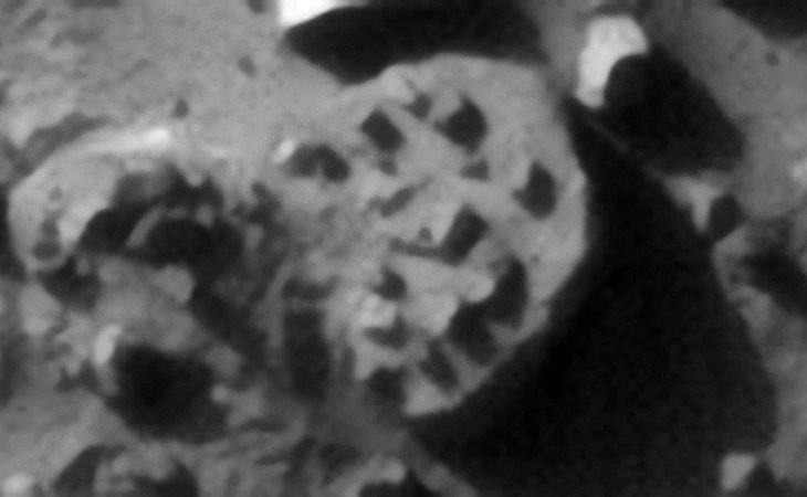 Large, partially buried falt disc-shaped object with smaller features or knobs arrange in a circular patter on the surface