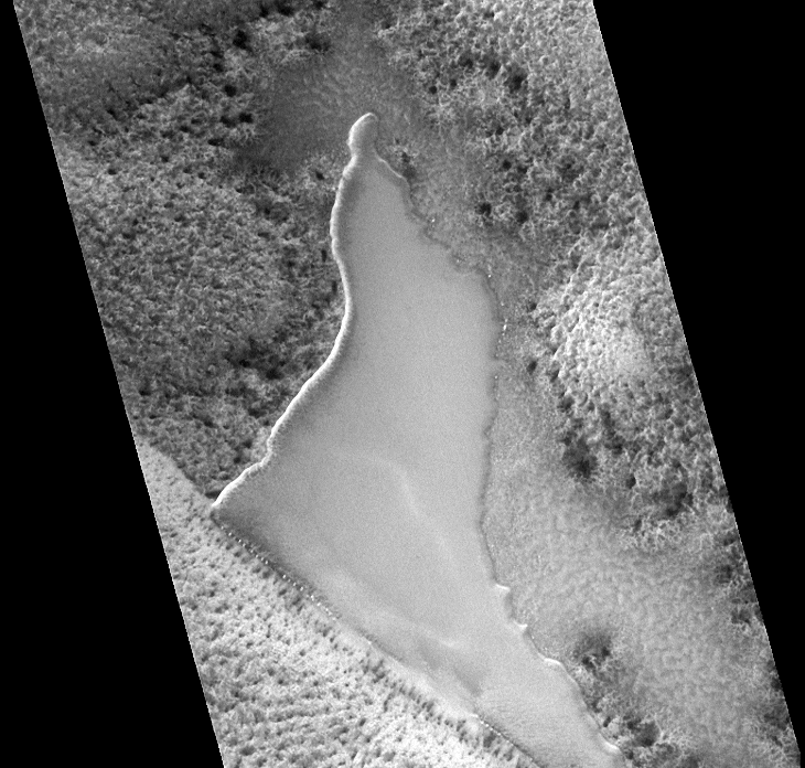 Lake and vegetation found on Mars, note the artificial shore-line to the left with equally spaced and sized anomalies in a straight line (M09-01354)
