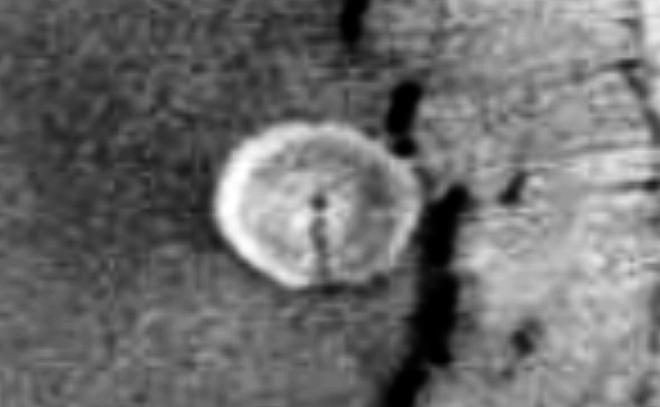 Semi-translucent disc on Mars (zoomed view)
