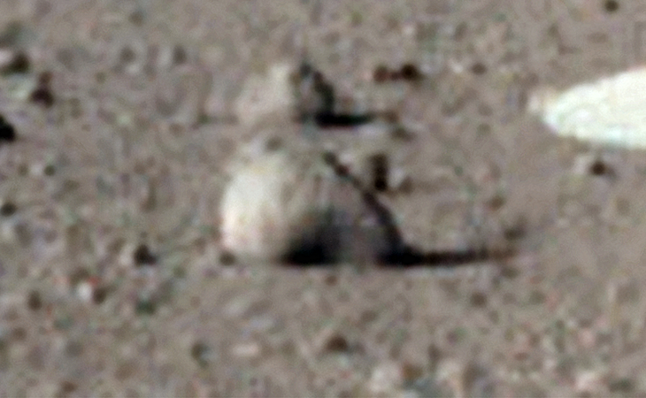 A stone disc-like anomaly photographed by InSight on Sol 8