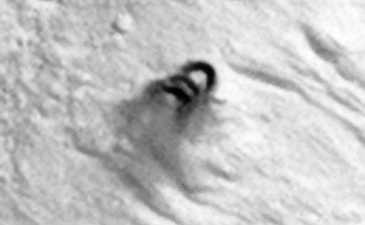 Strange disc-shaped objects, Air-Vent or Rocks? These objects appear to be leaving a dark-coloured stain on the Martian surface. Might those geometric patterns in the slightly darker ground located to left and slightly above the disc-shaped objects be ruins?