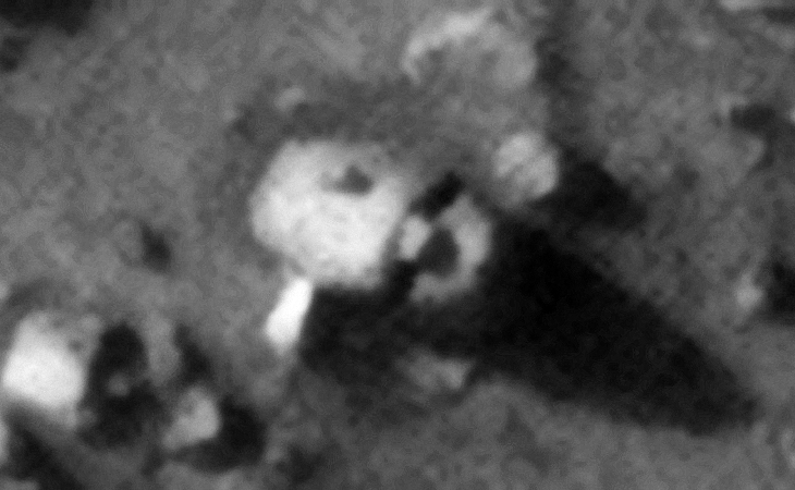 Scarab Beetle-type artifact in Hunten on Mars (click for original image at 1:1 scale)