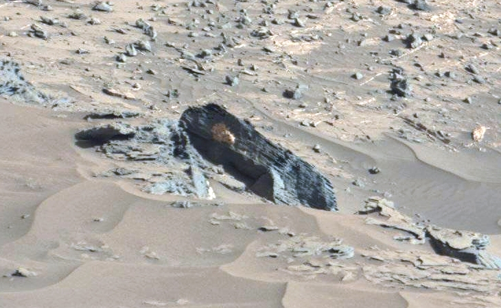 Another life form clinging to a Martian rock