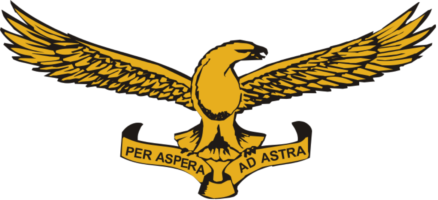 South African Air Force (SAAF) Emblem