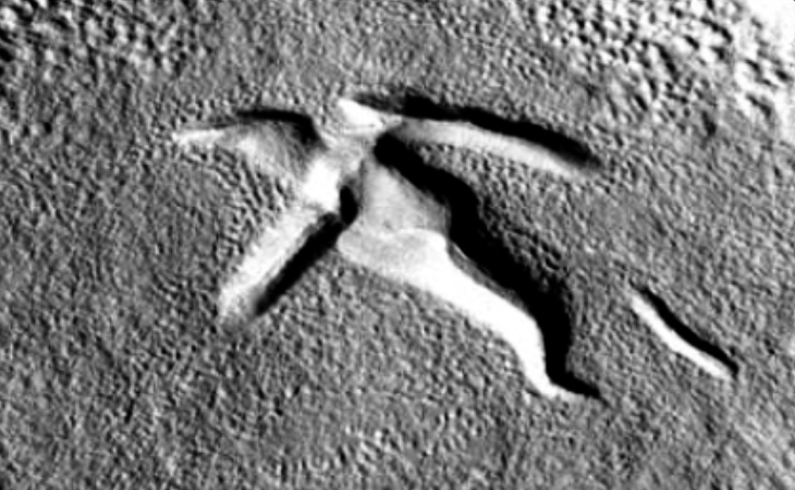 F06_037976_2120_XN_32N278W: The huge 'bird' on Mars (click for larger image)