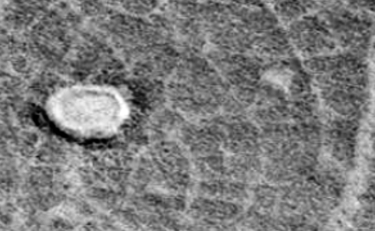 Clumps of vegetation around crater and concentration of vegetation around crater rim